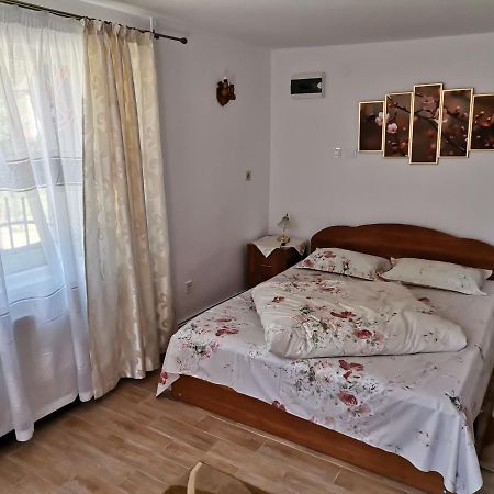 Гостевой дом Casa Georgeta Бран Экстерьер фото