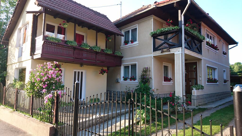 Гостевой дом Casa Georgeta Бран Экстерьер фото